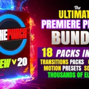 CINEPUNCH BUNDLE v20 – Transitions I Color LUTs I SFX – 18 PACKS – 9999+ Assets